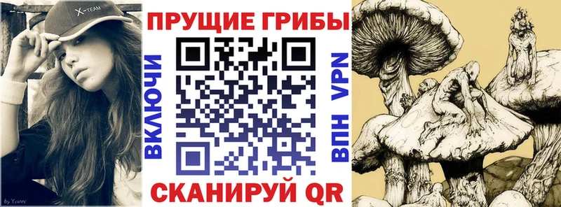 Галлюциногенные грибы Psilocybine cubensis  наркотики  Юрьевец 